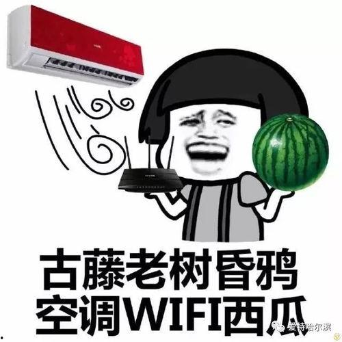 娱乐吃瓜君爆料真的假的,真相还是谣言？